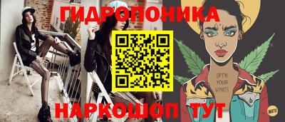 герыч Кингисепп