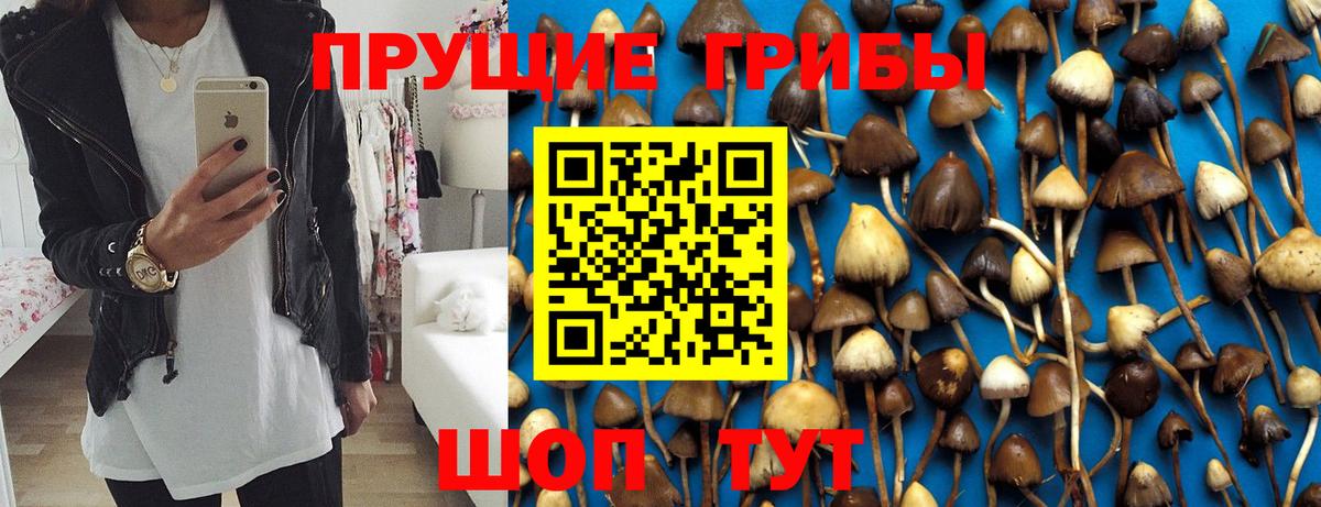 Псилоцибиновые грибы Cubensis  Вход с VPN  Шали  Псилоцибиновые грибы ЛСД 